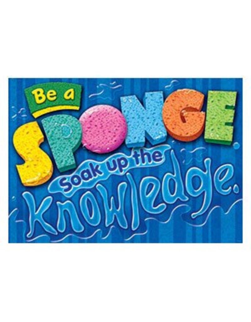 *Be a sponge. Soak up the knowledge.
