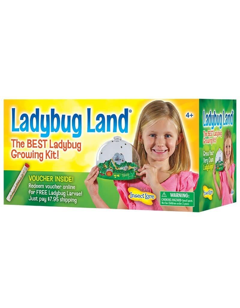Insect Lore Ladybug Land 