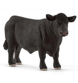 Black Angus bull