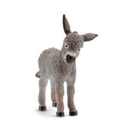 Donkey foal