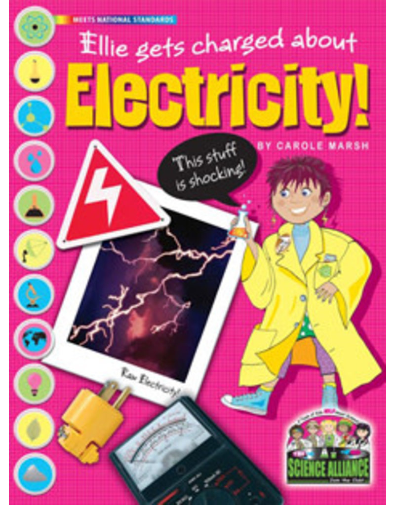 SA-P Electricity