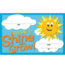 *Choosing to Shine & Grow Recognition Award