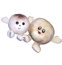 Pluto & Charon Buddy