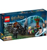 LEGO® Harry Potter™ Hogwarts™ Carriage and Thestrals