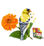 I Am Goldfinch 300 pcs Puzzle