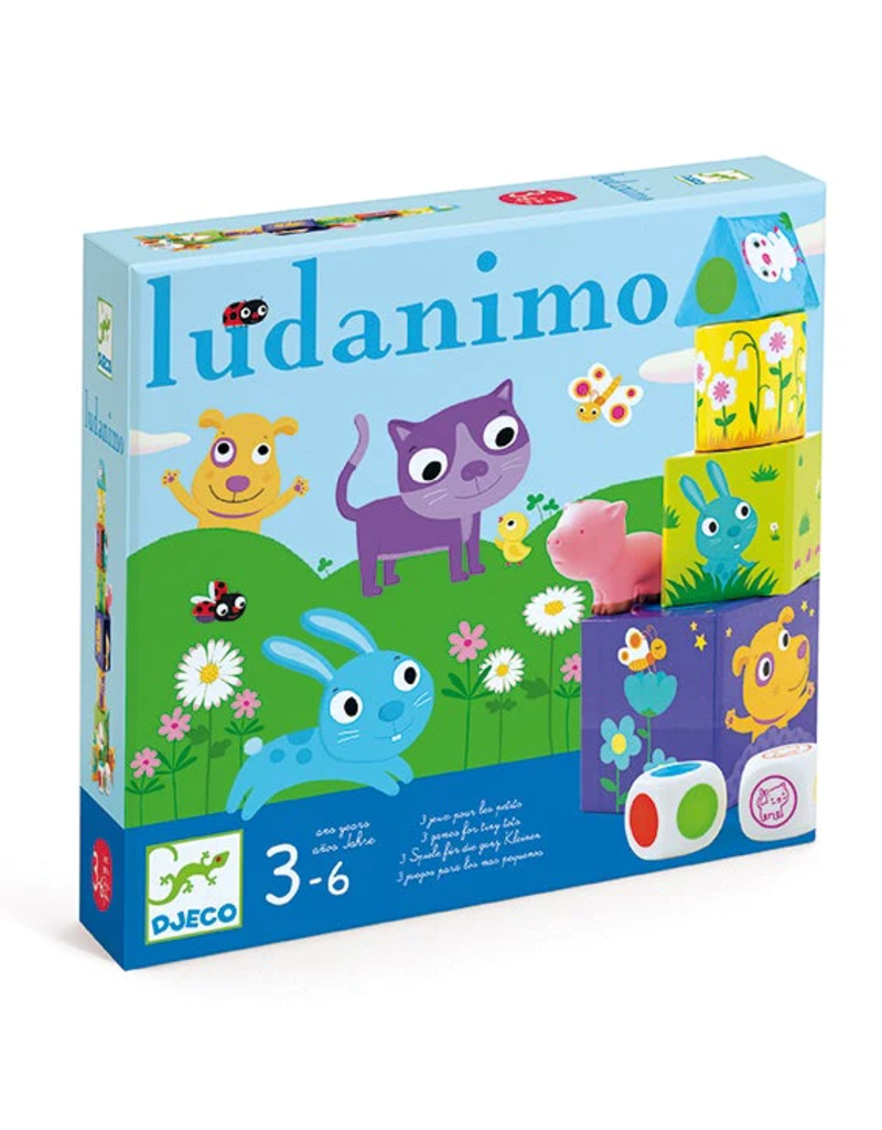 *Ludanimo 3-in-1 Skill Building Game