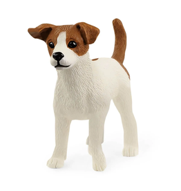 Jack Russell Terrier