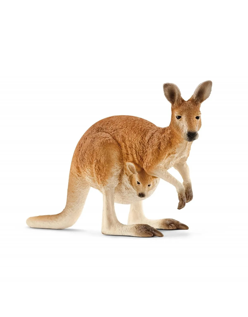 Kangaroo