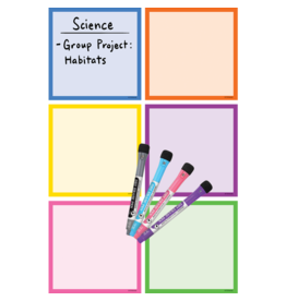 Colorful Dry-Erase Magnetic Square Notes