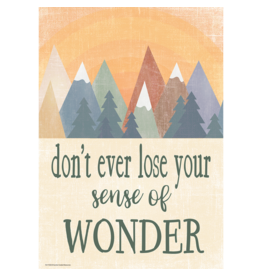 Don't Ever Lose Your Sense of Wonder Poster