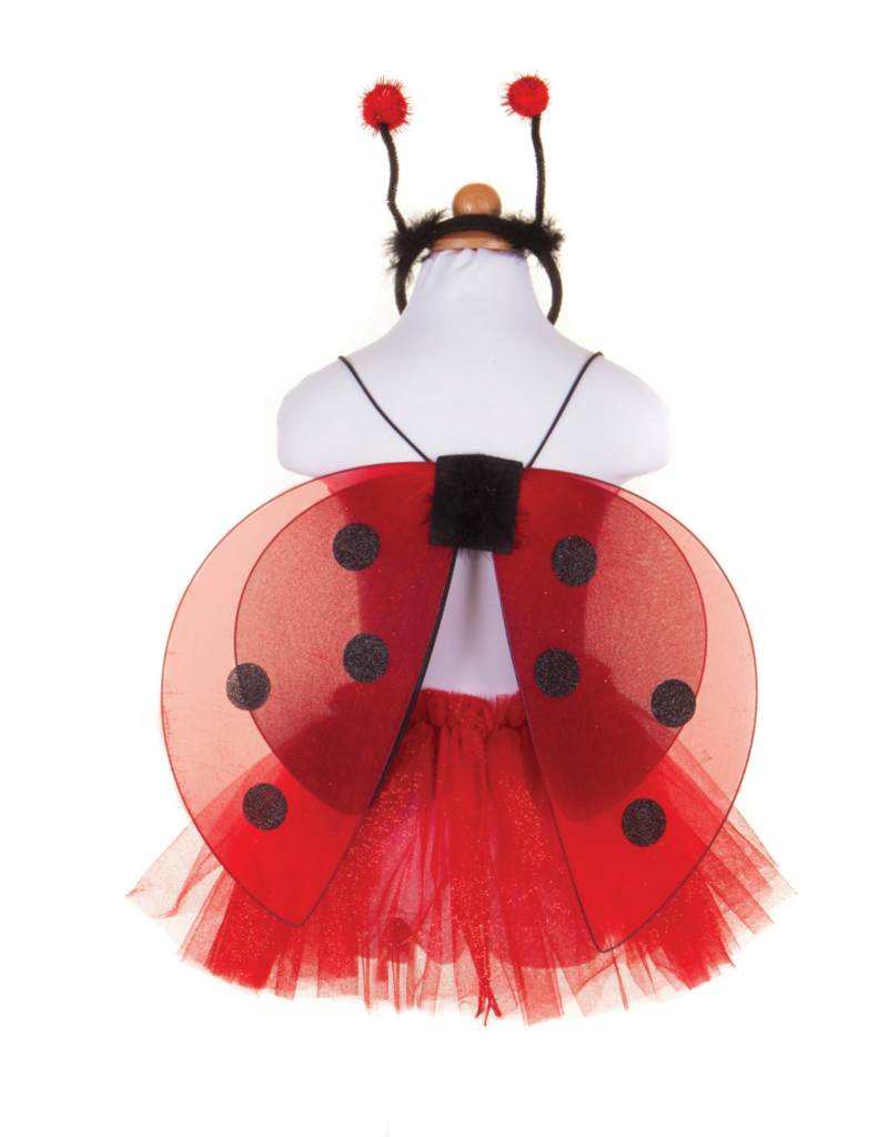 Glitter Ladybug Set, Size 4-6