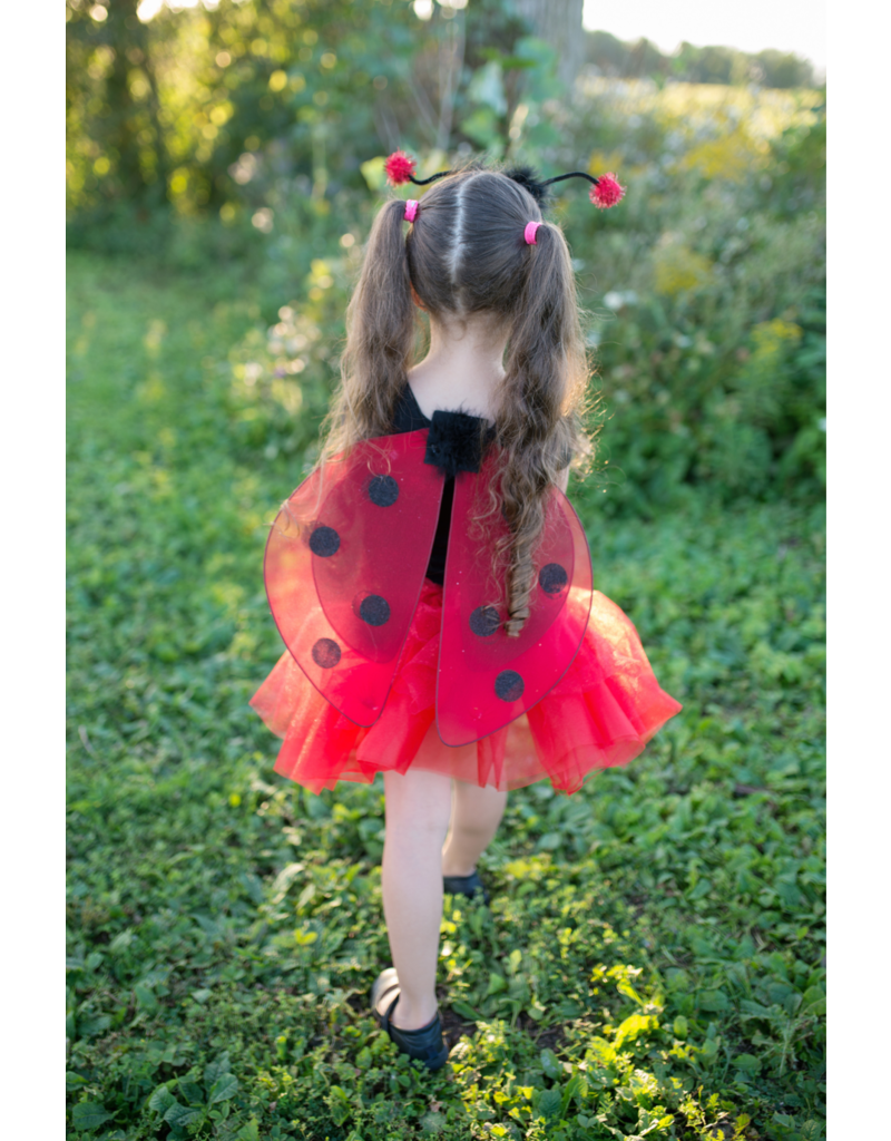 Glitter Ladybug Set, Size 4-6