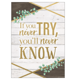 If You Never Try You'll Never Know Positive Poster