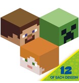 Minecraft Assorted Characters
