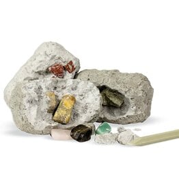 Dig it Up! Minerals and Fossils
