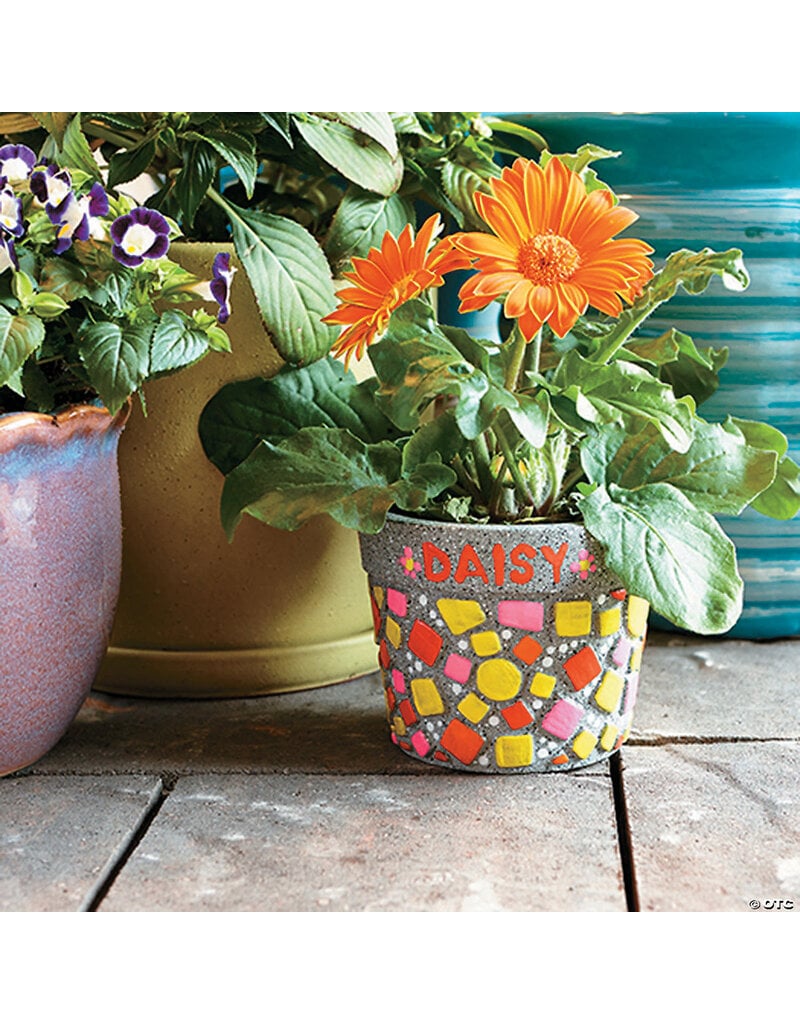 Paint Your Own Stone: ‭Mosaic Flower Pot