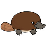 Mini Squishable Baby Platypus