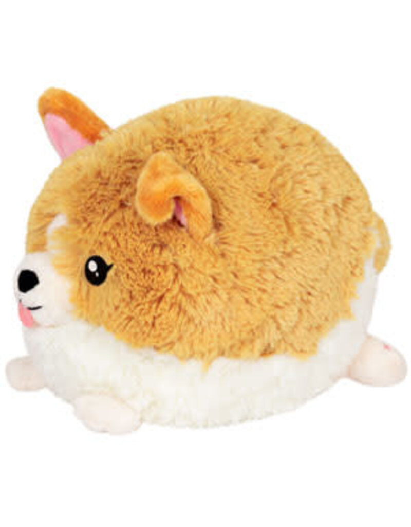 Mini Squishable Baby Corgi