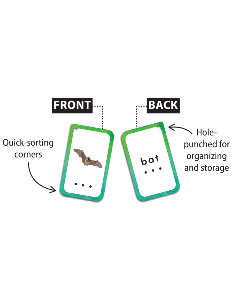 Decoding CVC Words Flash Cards