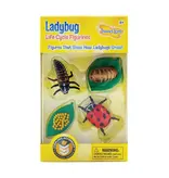 Ladybug Life Cycle Figurines