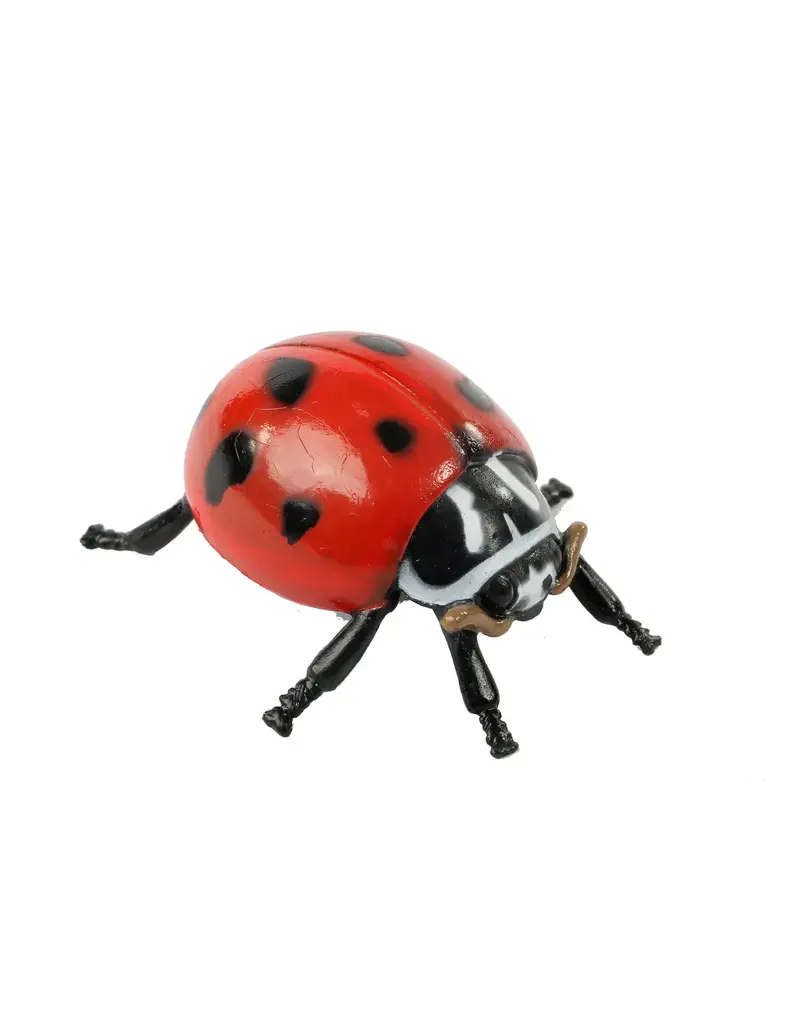 Ladybug Life Cycle Figurines