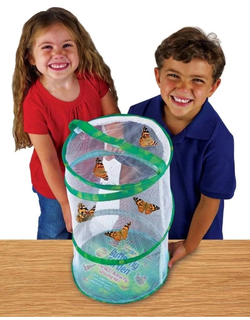 Giant Butterfly Garden® With Voucher