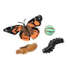 Butterfly Life Cycle Figurines