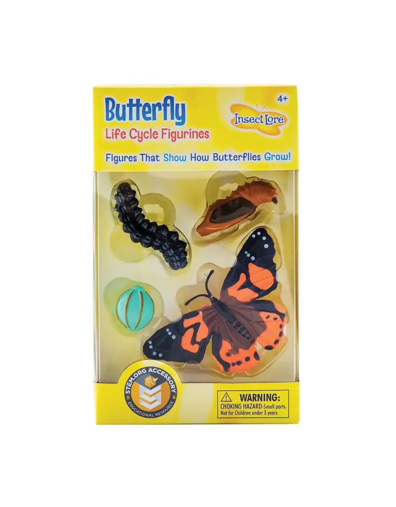 Butterfly Life Cycle Figurines