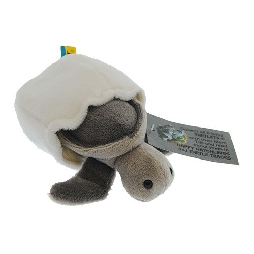 TOTALLY TURTLES USA MOONLIGHT THE HATCHLING TURTLE TOTALLY TURTLES USA MOONLIGHT THE HATCHLING TURTLE