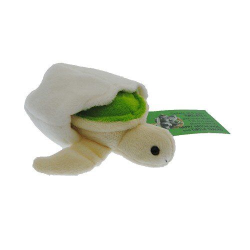 TOTALLY TURTLES USA ZOOM THE HATCHLING TURTLE TOTALLY TURTLES USA ZOOM THE HATCHLING TURTLE