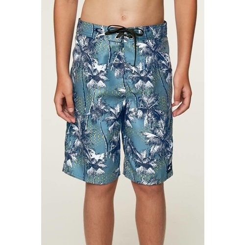 ONEILL YOUTH DARN OLD PALMER BOYS BOARDSHORTS ONEILL YOUTH DARN OLD PALMER BOYS BOARDSHORTS