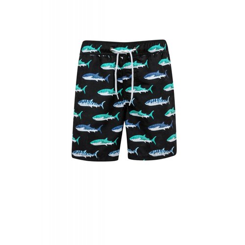 SNAPPER ROCK SHARK BOARDIES SNAPPER ROCK SHARK BOARDIES