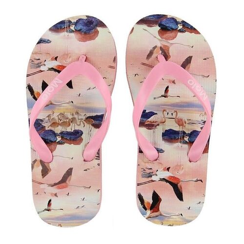 MOLO FLAMINGO ZEPPO FLIP FLOPS MOLO FLAMINGO ZEPPO FLIP FLOPS