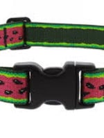 LupinePet Lupine 1" Watermelon Collar 16-28in