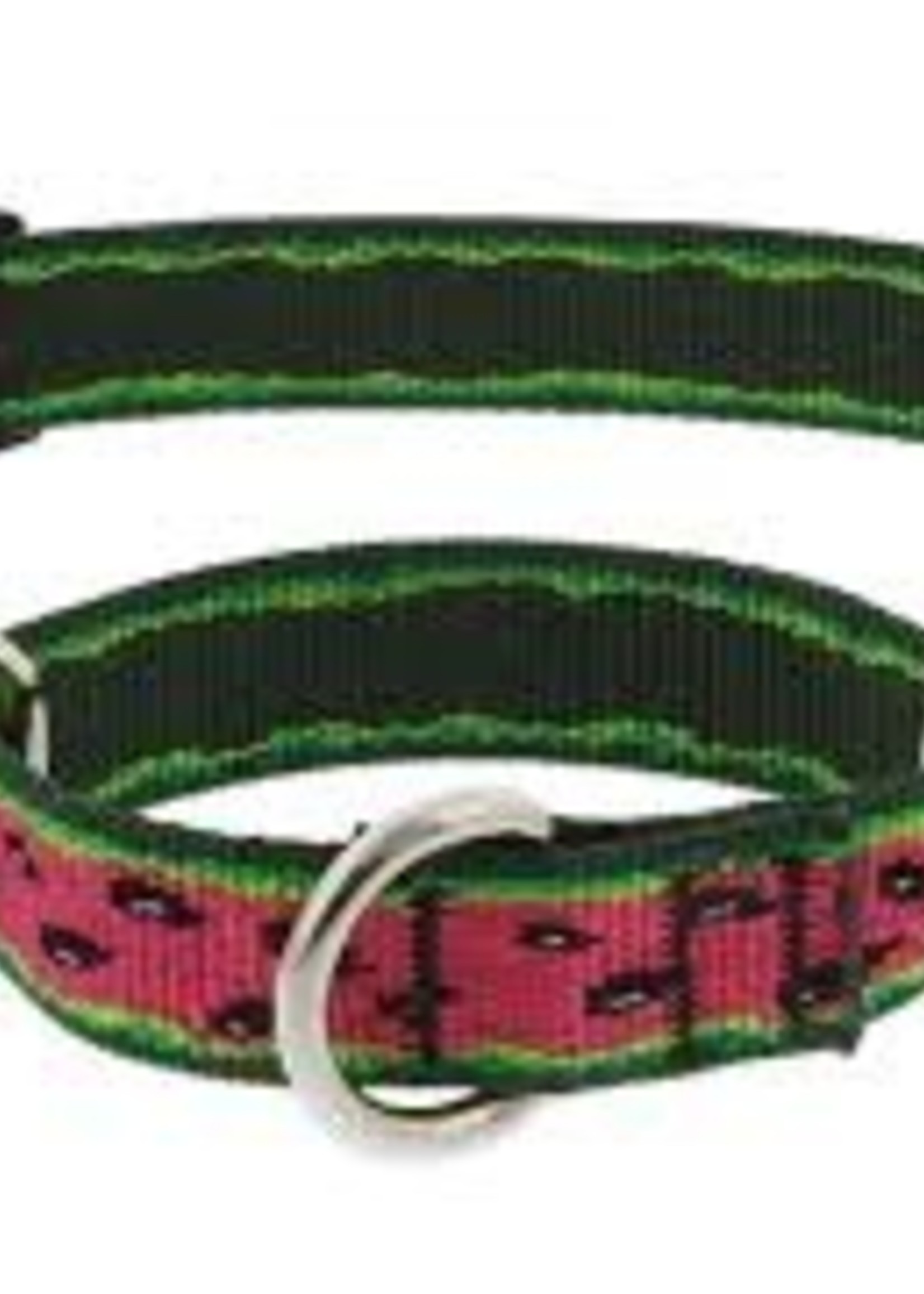 LupinePet Lupine 1" Watermelon Martingale 19-27in
