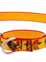 LupinePet Lupine 1in Turkey Trot 19-27 Martingale Collar