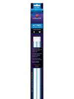 Central Aquatics/Aqueon Coralife Actinic Bluelight Compact Fluorescent Straight Pin Base Lamp 36W 16in