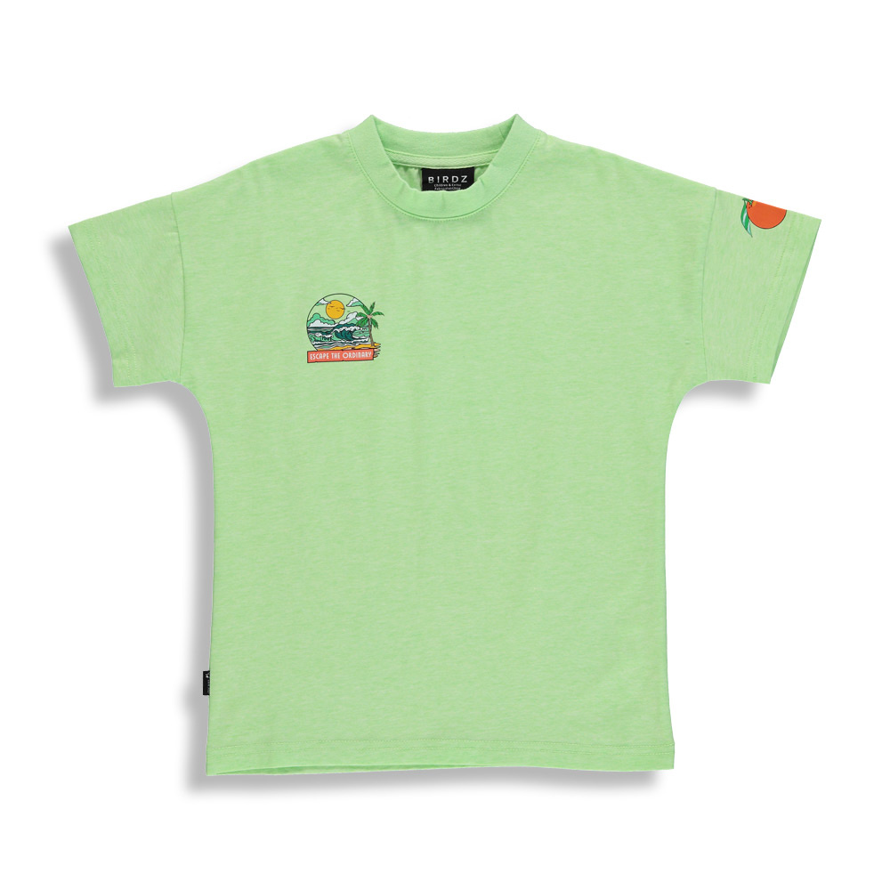 Birdz Birdz - Sunset T-shirt