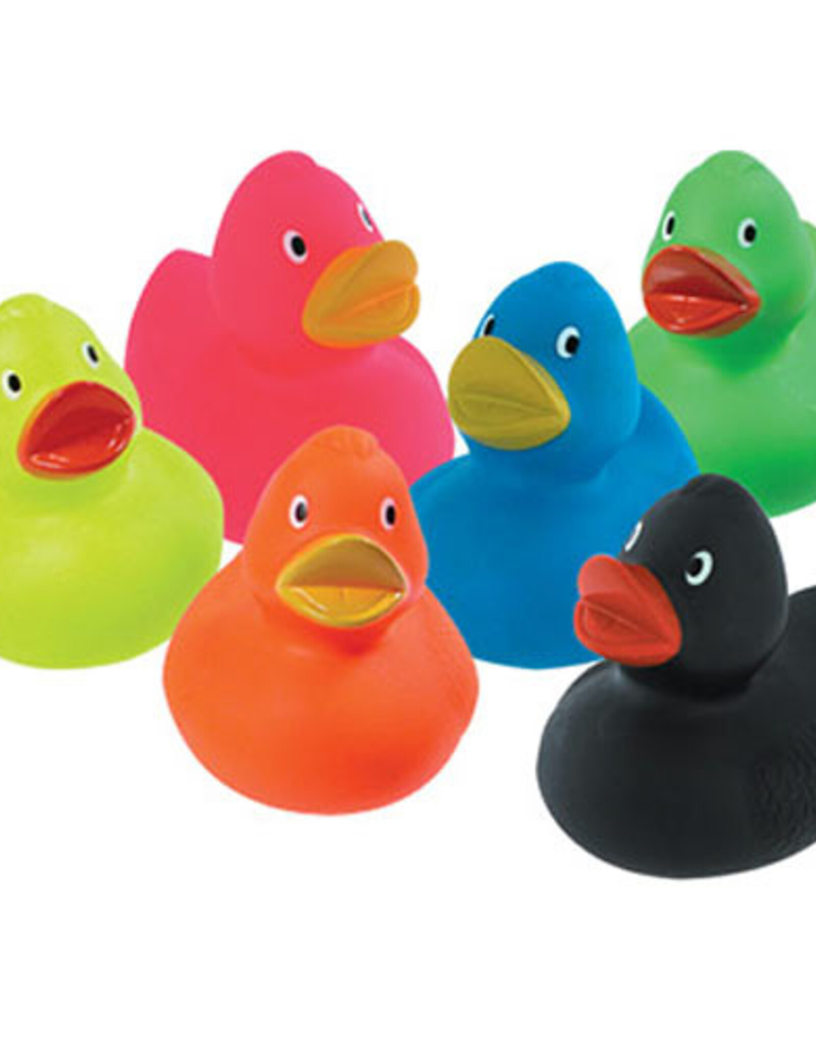 SCHYLLING MULTICOLOR DUCKS