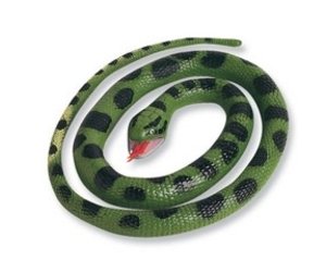 rubber snake