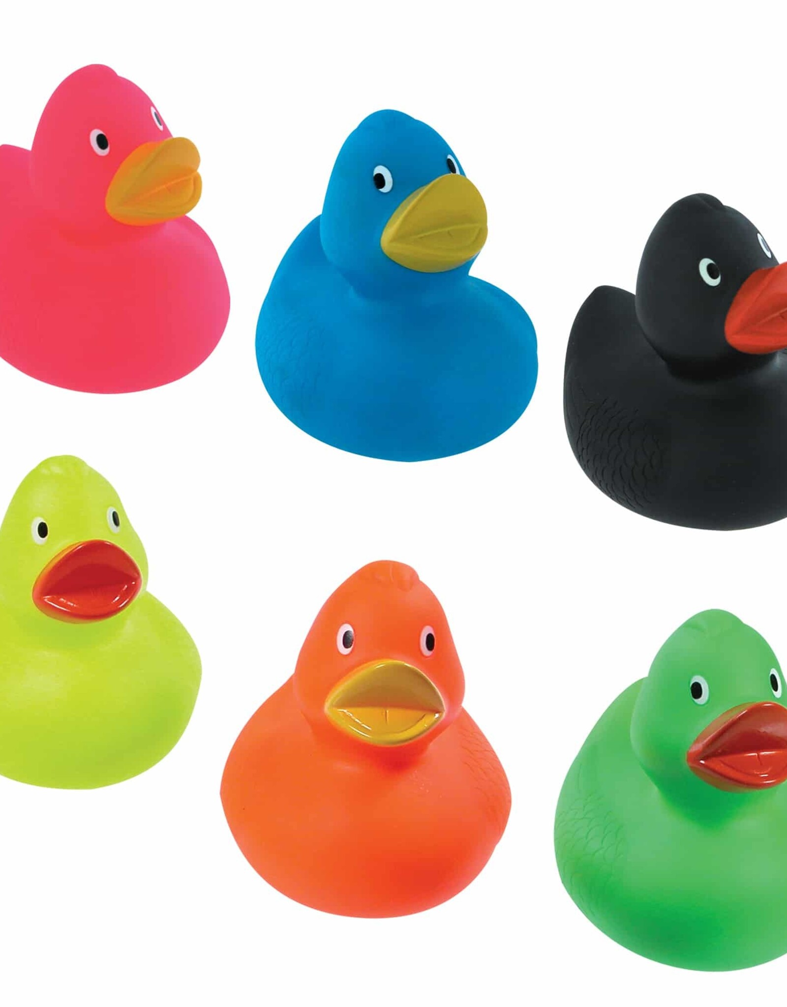 SCHYLLING MULTICOLOR DUCKS