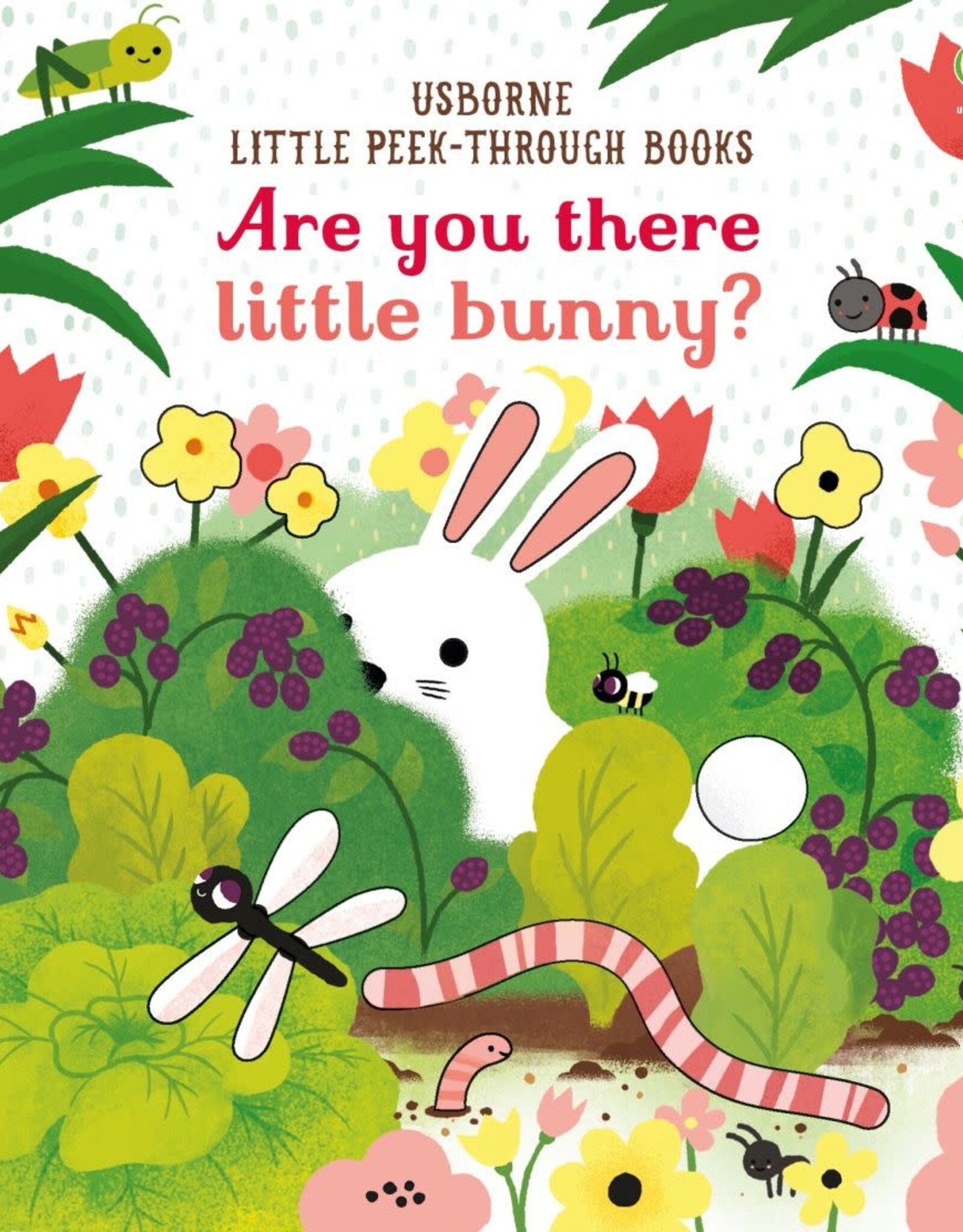 Usborne Are You There Little Bunny? ES