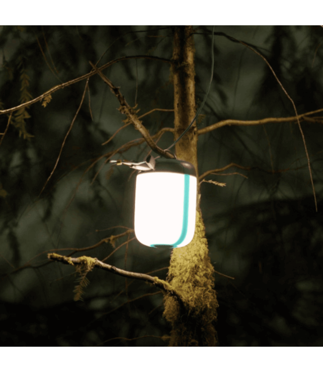 BioLite SiteLight Duo