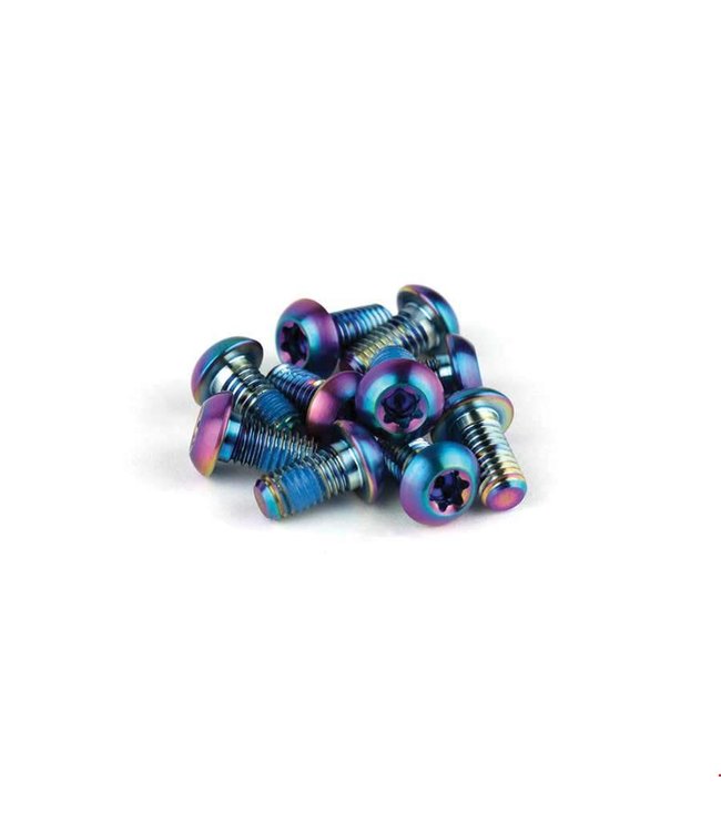 SRAM, Titanium Rotor Bolts, Rainbow, 12pcs