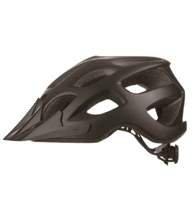 EVO, Flipshot, Helmet