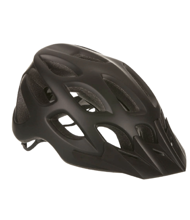 EVO, Flipshot, Helmet