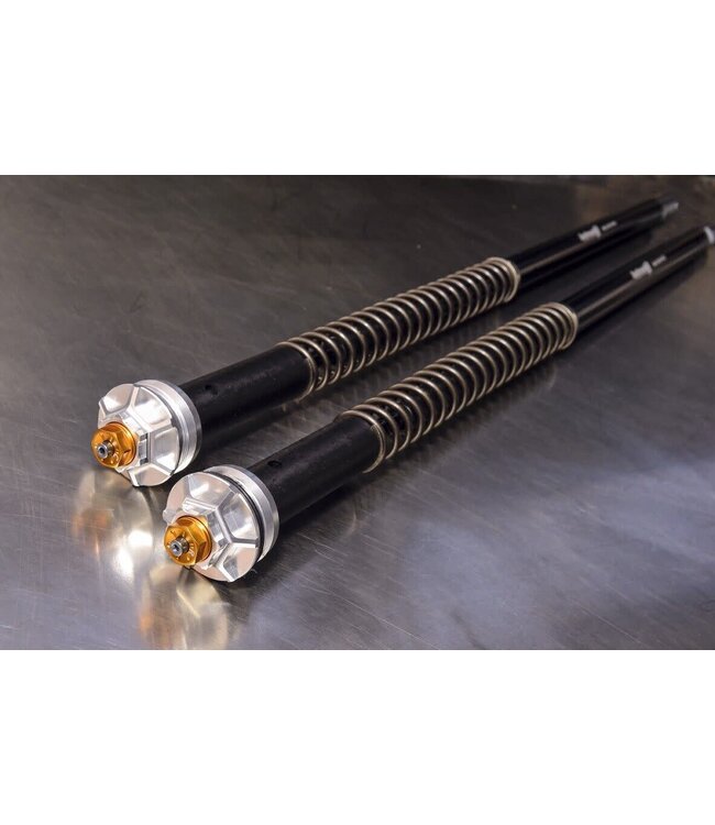 Andreani Misano EVO Cartridge KTM 790 Adventure S 2019