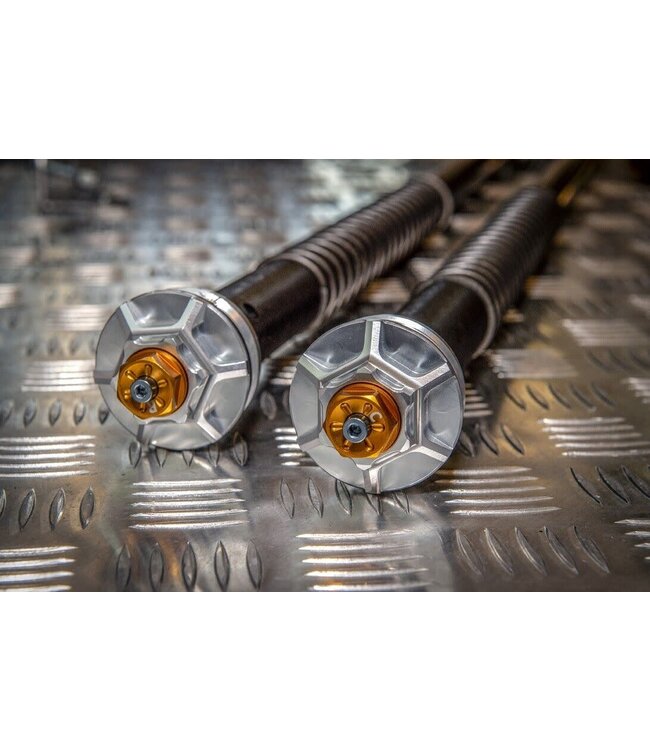 Andreani Misano EVO Cartridge KTM 790 Adventure S 2019