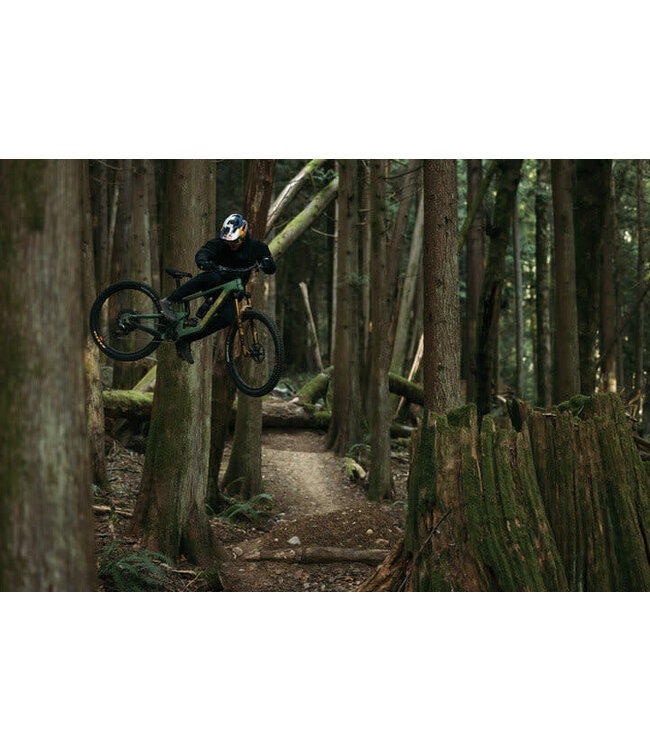 Fox, 38 Factory , 29" F-S, K, 170mm, Grip X2, HSC, LSC, HSR, LSR, Kabolt X 110, 1.5 T, 58HT, Rake:44mm, Gold