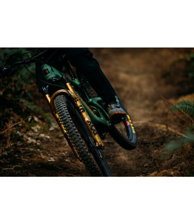 Fox, 38 Factory , 29" F-S, K, 170mm, Grip X2, HSC, LSC, HSR, LSR, Kabolt X 110, 1.5 T, 58HT, Rake:44mm, Gold